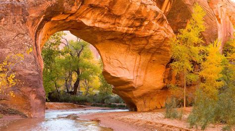 Bing image: National Public Lands Day - Bing Wallpaper Gallery