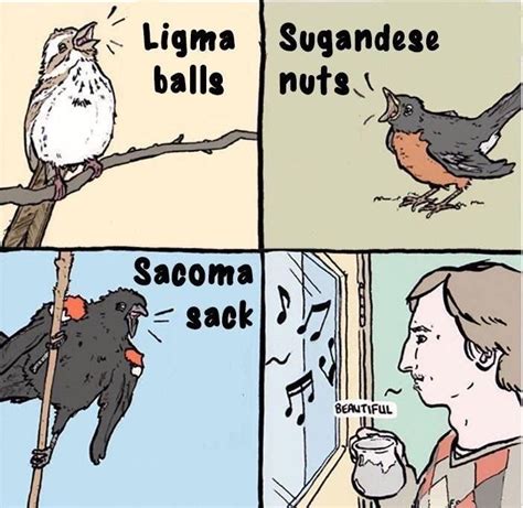 Ligma balls / Sugandese nuts / Sacoma sack / beautiful | Memes de sábado, Imágenes divertidas y ...