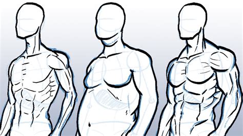 How to Draw Different Body Types | Body type drawing, Body drawing, Drawings