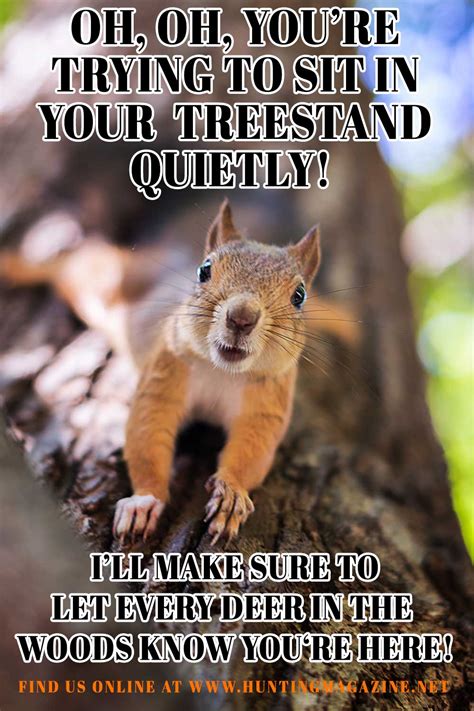 Squirrel Hunting Meme - Funny Squirrel Meme | Hunting Magazine