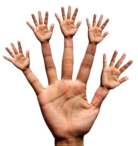 Hand Finger Thumb Index - Free photo on Pixabay - Pixabay