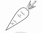 Carrot Coloring Pages sketch template