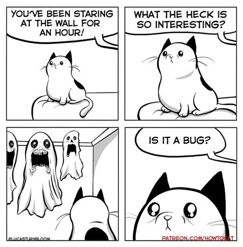 25 Very Real Cat Comics For Your Caturday Pleasure | Cat comics, How to cat, Funny memes