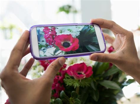 This Flower Identification App Is a Gardener's Best Friend