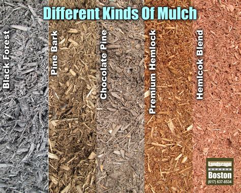 Mulch Color Type at Stephen Garza blog