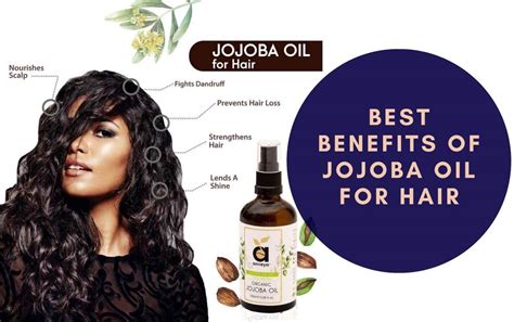 Best Jojoba Oil For Hair Benefits | Biophytopharm