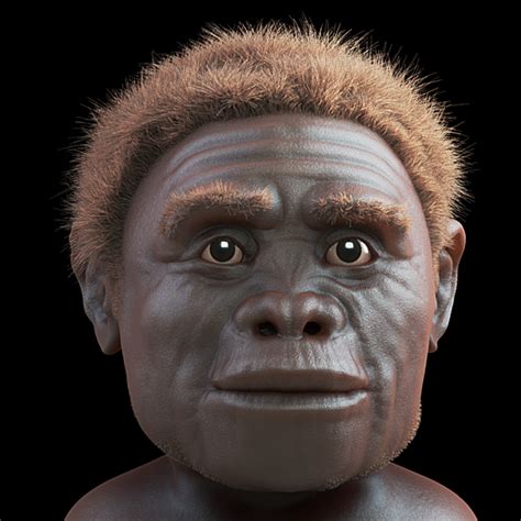 ATOR: Homo floresiensis - 3D forensic facial reconstruction of the "hobbit"