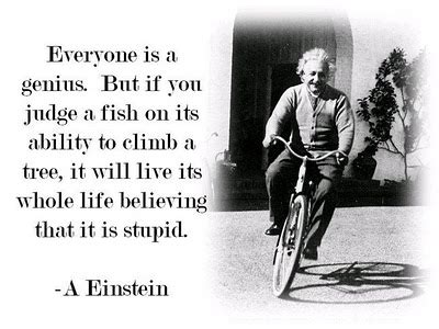 Einstein: Don't Judge a Fish by its Ability to Climb a Tree! | Engaging Minds Online