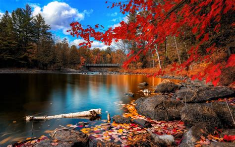 Fall Scenery Wallpapers - Top Free Fall Scenery Backgrounds ...