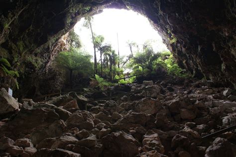 Interior View of Cave Entrance | Cave entrance, Outdoor, Waikato