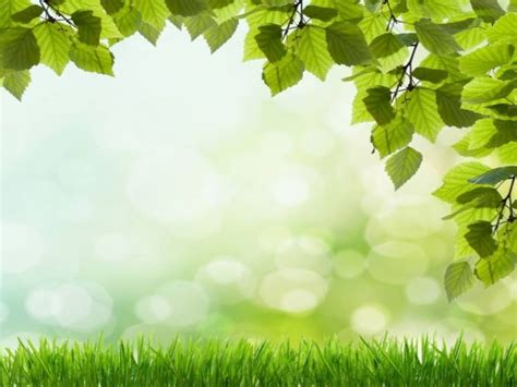 Beautiful green grass PowerPoint background. Available in 960x720, this ...