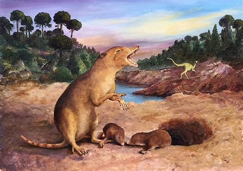 Earliest known mammal is identified using fossil tooth records | Natural History Museum