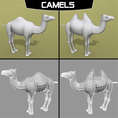 polygonal camel 3d model