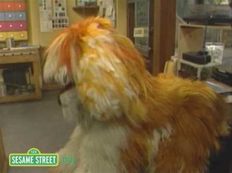 Dothedogsesamestreet mp4 3gp flv mp3 video indir