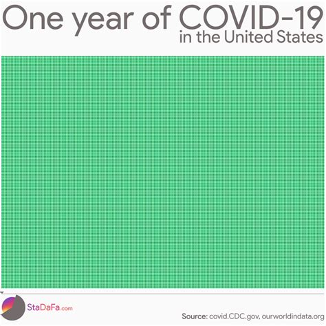 One year of COVID-19 in the United States