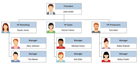 Four Types of Organizational Charts: Functional Top-Down, Flat, Divisional, and Matrix