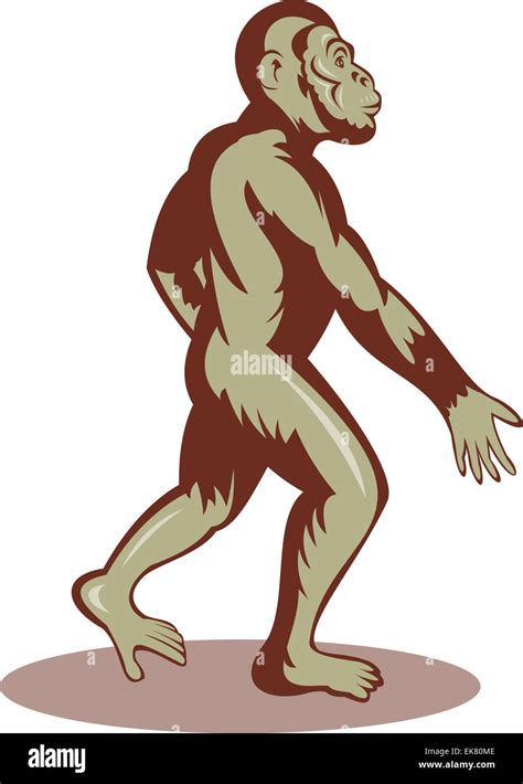 Prehistoric man or ape walking upright Stock Photo - Alamy