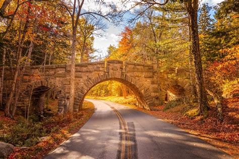 ULTIMATE 2024 Maine Fall Foliage Map + Peak Prediction Guide