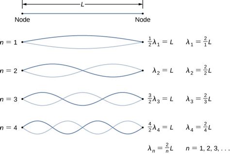 Behaviour of a stationary wave, where we show the different bellies and ...