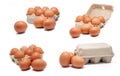 Free Stock Photo 10611 Fresh Brown Eggs on a Green Cardboard Tray | freeimageslive