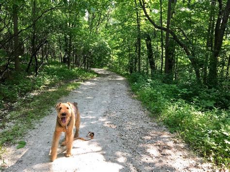 Dog Friendly Hiking Near Chicago