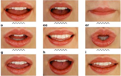 Automated lip reading software - montanamaxb