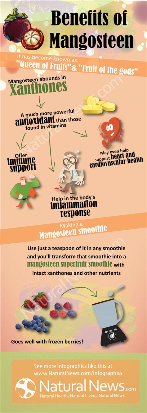 Infographic-Benefits-of-Mangosteen