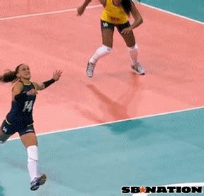 Volleyball GIF - Find & Share on GIPHY