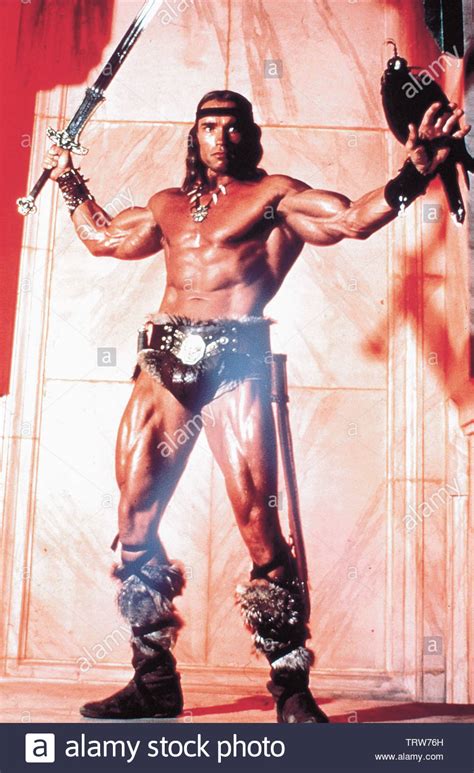 Conan The Barbarian Arnold Poster