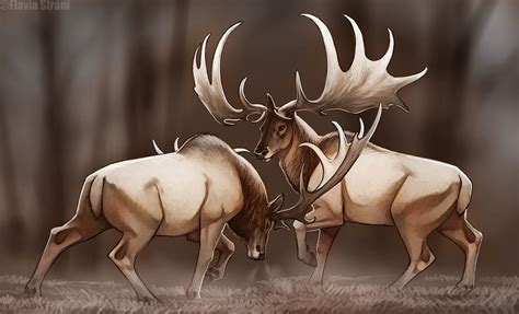 Irish elks, Flavia Strani | Irish elk, Prehistoric creatures ...