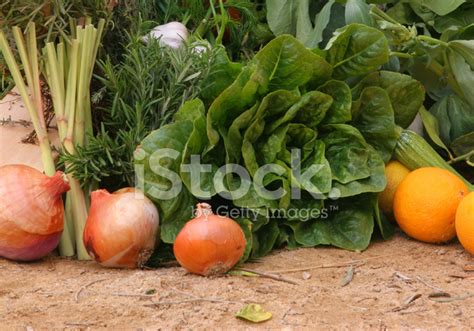 Egyptian Organic Vegetables Stock Photo | Royalty-Free | FreeImages