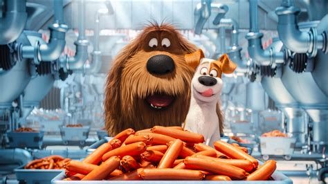 The Secrete Life of Pets Animated Movie, HD Movies, 4k Wallpapers, Images, Backgrounds, Photos ...