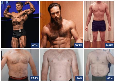 body fat percentage by picture for men - MennoHenselmans.com