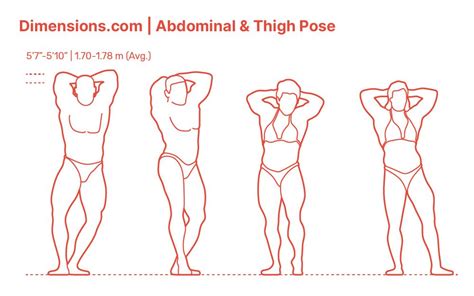 Abdominal & Thigh Pose | Poses, Abdominal, Thighs