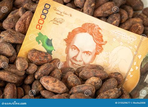 The Highest Quality Cocoa Seeds from a Plantation in Costa Rica and a 20,000 Colon Banknote ...