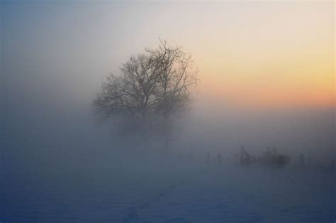 Im Nebel Foto & Bild | landschaft, Äcker, felder & wiesen, natur Bilder ...