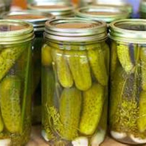 Grandma Browns Dill Pickles By Freda Homemade Pickles Dill, Kosher Dill Pickles, Butter Pickles ...