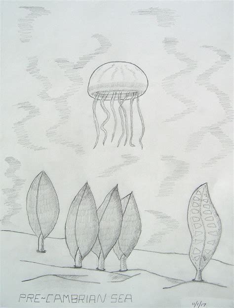 Ediacaran Fauna -- or Flub? - Paleo Re-creations - The Fossil Forum