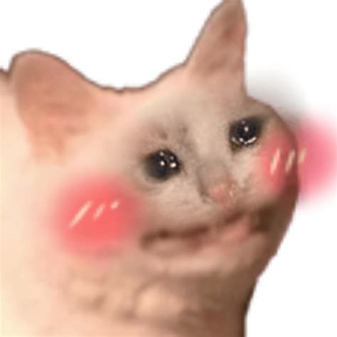 Crying Cat Meme Pic Png Transparent Overlay