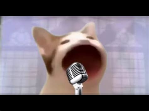 Pop Cat Sings Meme Song - YouTube