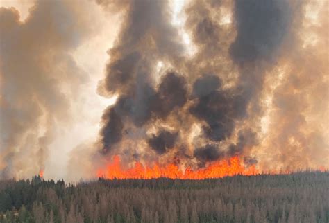 Calgary to open Alberta wildfire evacuee centre | LiveWire Calgary