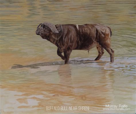 Buffalo Oil Painting at PaintingValley.com | Explore collection of ...