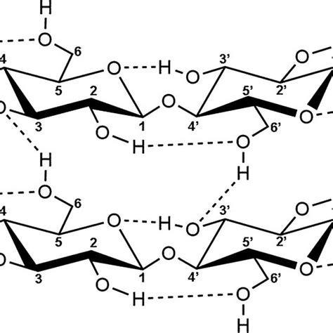 Primary structure of cellulose and hydrogen bonds between cellulose... | Download Scientific Diagram