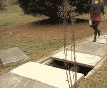 Girl Fail GIF - Find & Share on GIPHY