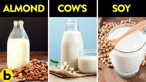 Which of these 7 Types of milk are best for you? | Sports Health ...