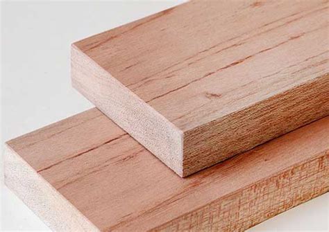 Meranti — Wood Myth S.A.L