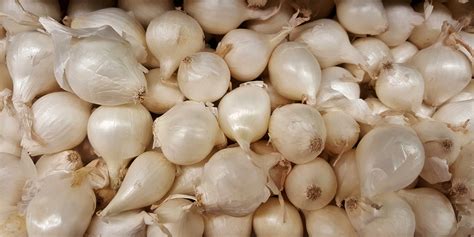 Free Images : white, food, harvest, ingredient, garlic, produce, vegetable, market, cry, grocery ...