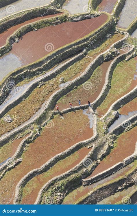 YuanYang Rice Terraces in Yunnan, China, One of the Latest UNESCO World ...