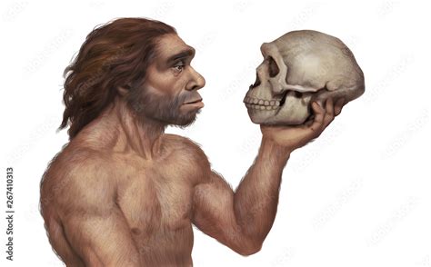 Illustration of Neanderthal Man Holding Neanderthal's Skull Stock ...