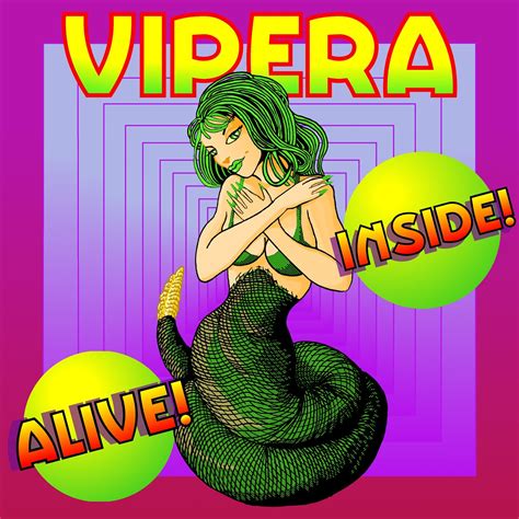 Vipera Sideshow Banner | Banner design from Retro City Board… | Flickr